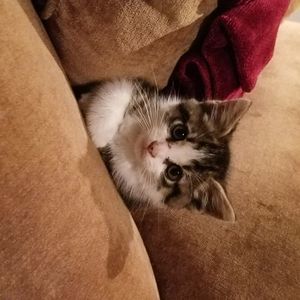 Meet your Posher, Javier